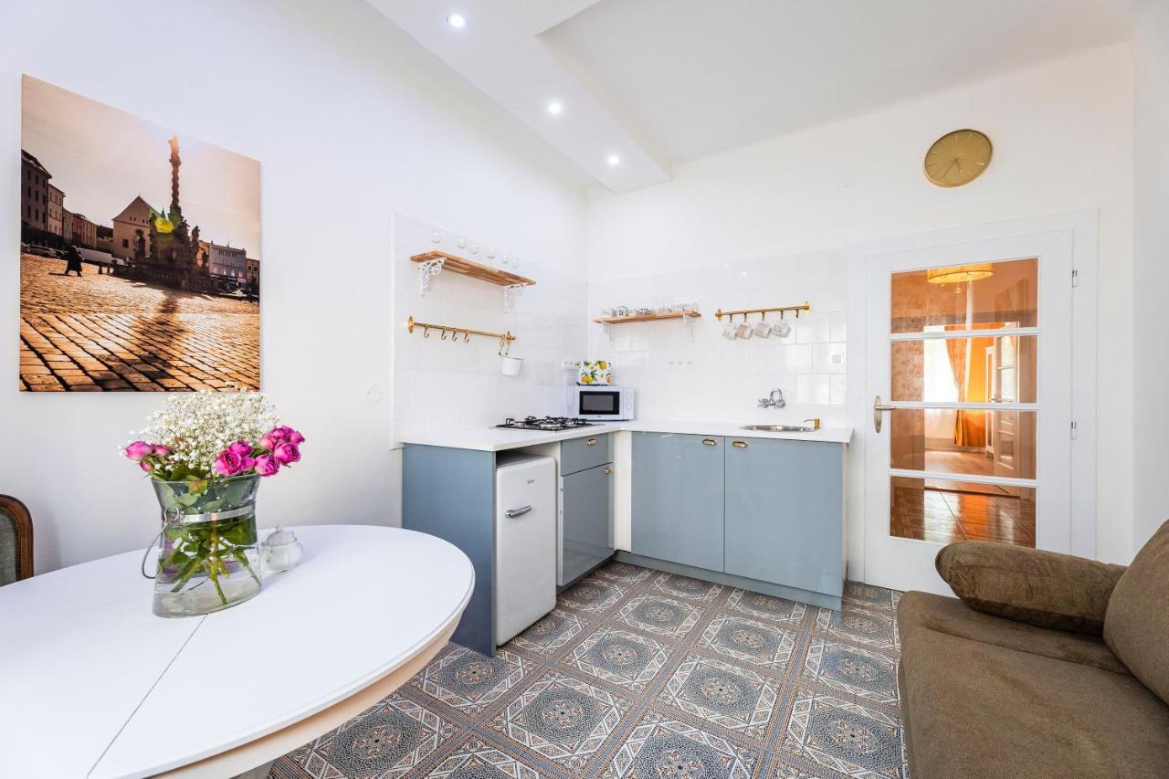 Silvie Apartments - Masaryk Dolni Olomouc Eksteriør bilde
